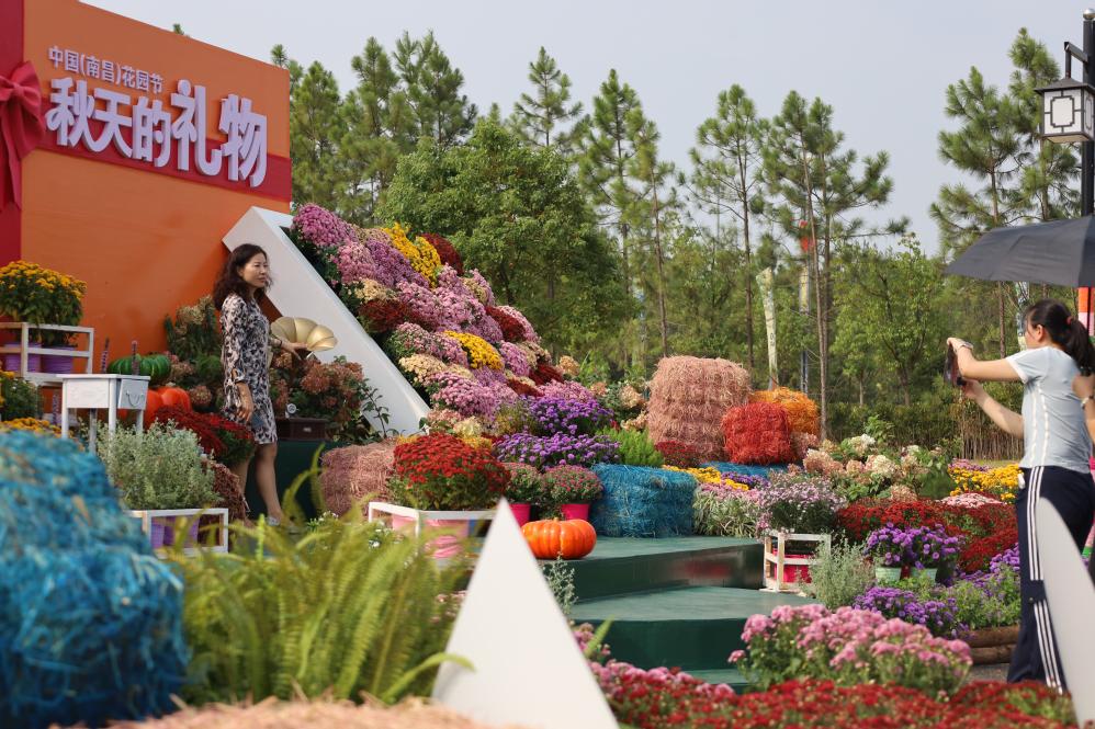 江西安义：以花为媒 撬动“美丽经济”