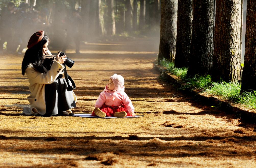 裁取冬色入画框