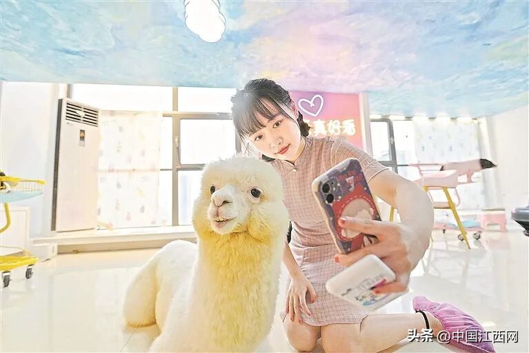 “它经济”崛起，江西宠物经济如何“出圈”？