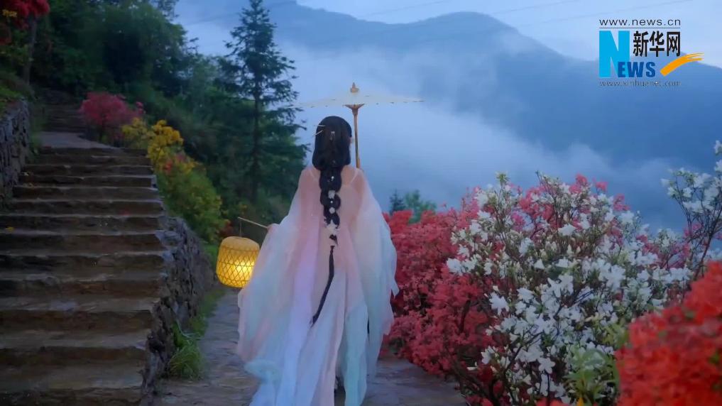 江西篁岭：花开春意浓 烟雨入画来