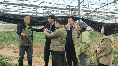 赣东学院助力农户“滞销菜”变“致富菜”