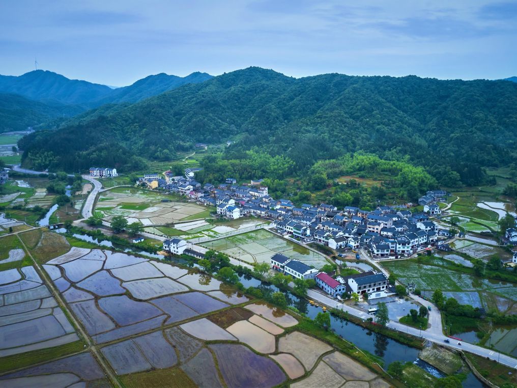 看见古村｜江西礼芳村：千年瓷都的“燃料心脏”