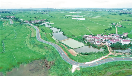 筑起防汛“安全堤” 铺就湖畔“风景线”